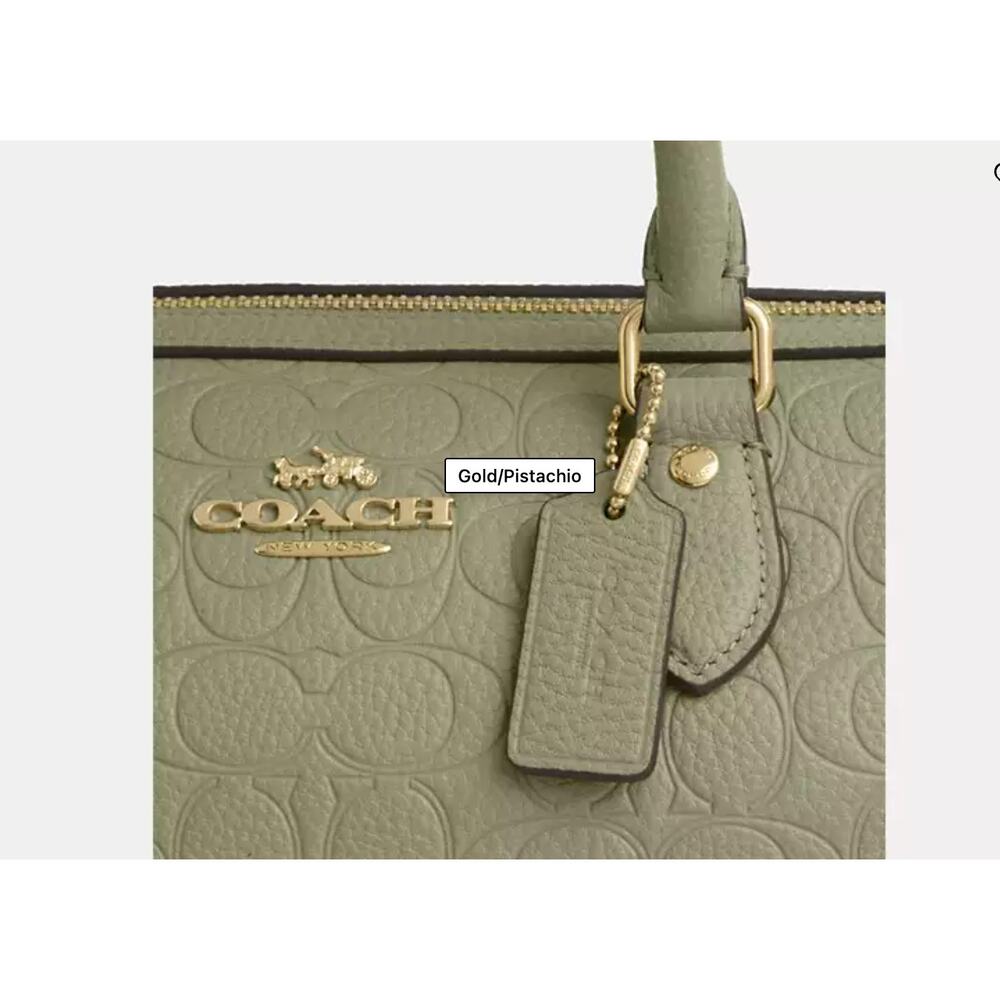 Rowan Satchel Bag In Signature Leather in Pebbled leather/Gold/Pistachio - Picture 4 of 6